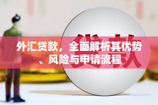 海曙外汇贷款，全面解析其优势、风险与申请流程