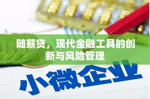 海曙随薪贷，现代金融工具的创新与风险管理