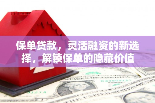 海曙保单贷款，灵活融资的新选择，解锁保单的隐藏价值