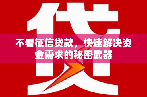 海曙不看征信贷款，快速解决资金需求的秘密武器