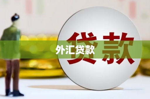海曙外汇贷款