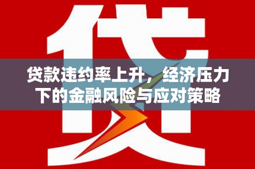 海曙贷款违约率上升，经济压力下的金融风险与应对策略