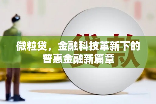 海曙微粒贷，金融科技革新下的普惠金融新篇章