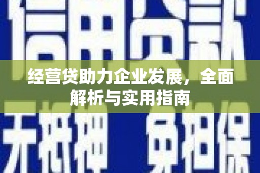 海曙经营贷助力企业发展，全面解析与实用指南