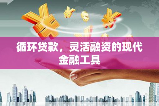 海曙循环贷款，灵活融资的现代金融工具