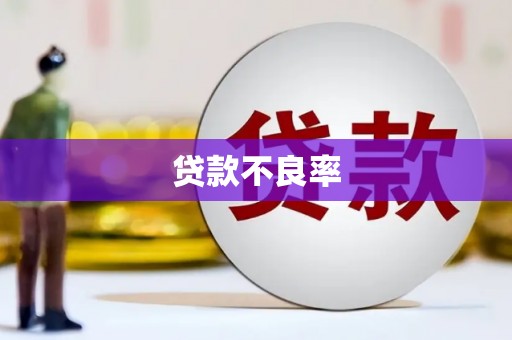 海曙贷款不良率