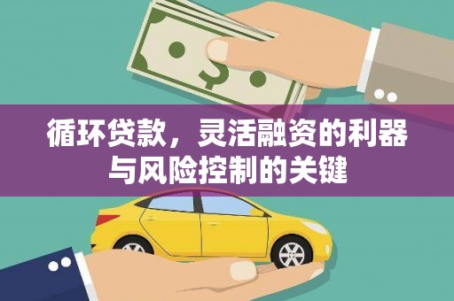 海曙循环贷款，灵活融资的利器与风险控制的关键