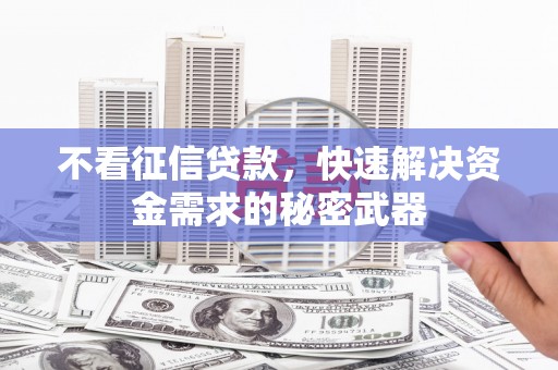 海曙不看征信贷款，快速解决资金需求的秘密武器