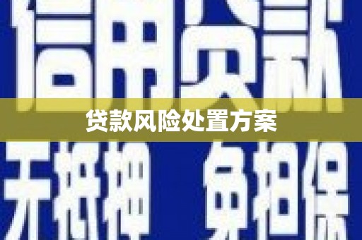 海曙贷款风险处置方案