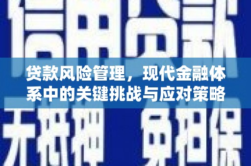 海曙贷款风险管理，现代金融体系中的关键挑战与应对策略