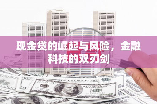 海曙现金贷的崛起与风险，金融科技的双刃剑