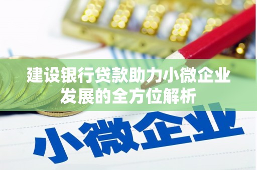 海曙建设银行贷款助力小微企业发展的全方位解析