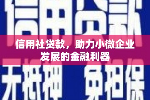 海曙信用社贷款，助力小微企业发展的金融利器