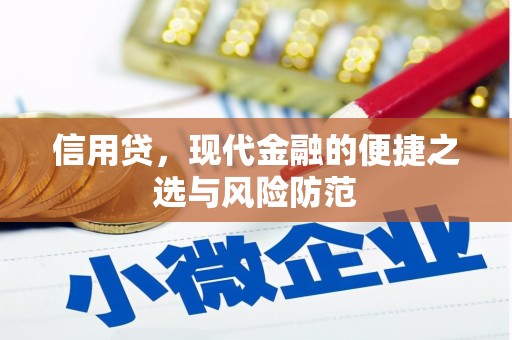 海曙信用贷，现代金融的便捷之选与风险防范