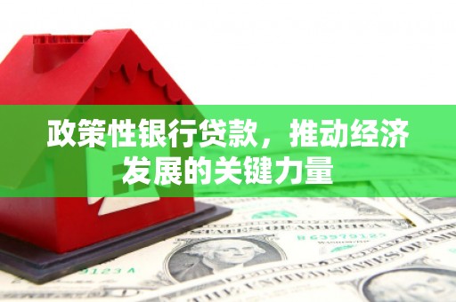 海曙政策性银行贷款，推动经济发展的关键力量