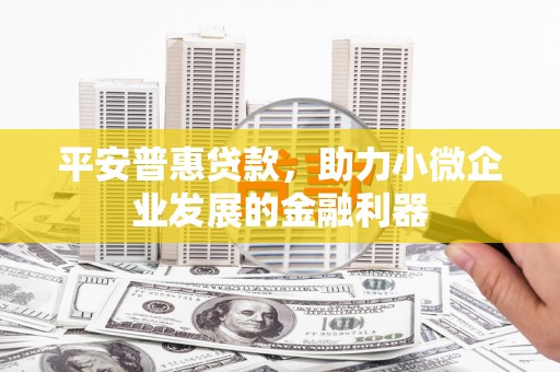 海曙平安普惠贷款，助力小微企业发展的金融利器