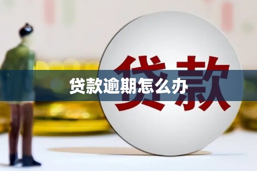 海曙贷款逾期怎么办