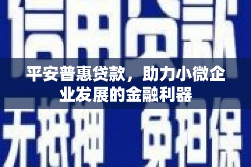 海曙平安普惠贷款，助力小微企业发展的金融利器