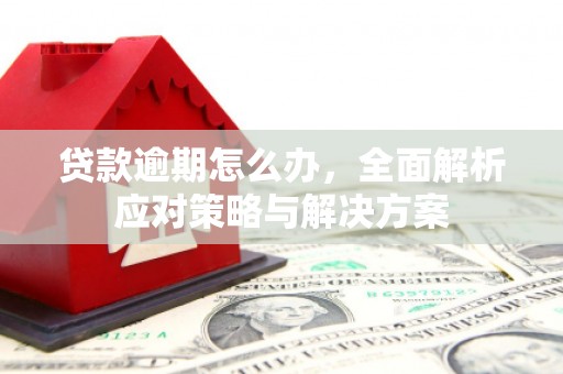 海曙贷款逾期怎么办，全面解析应对策略与解决方案
