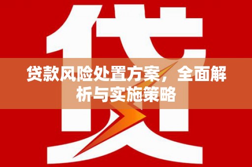 海曙贷款风险处置方案，全面解析与实施策略